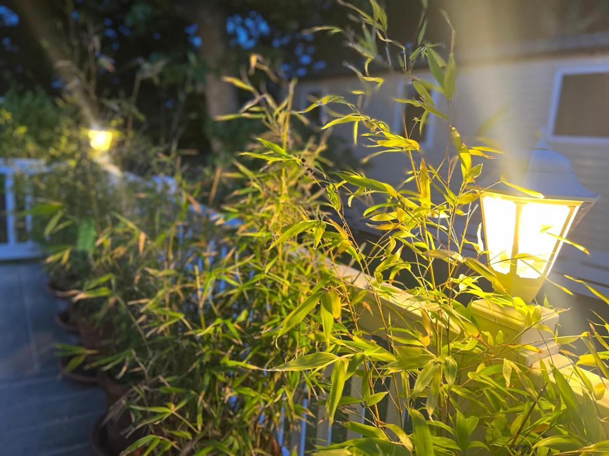 Jungle Lodge 利明顿 外观 照片