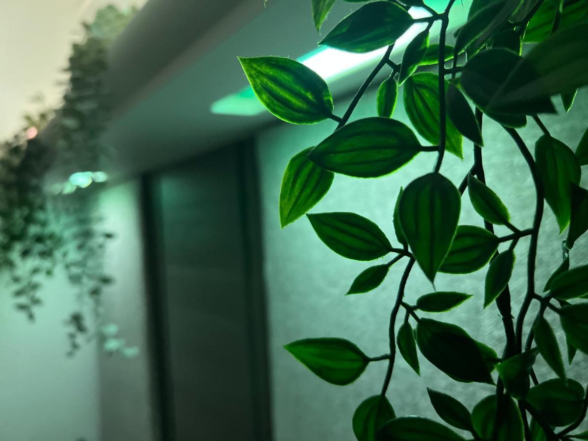 Jungle Lodge 利明顿 外观 照片